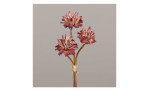 Zinnien-Bund 28 cm aus Kunststoff mit braunen Stiel und rot / rosa Blüten. Auf einem grauen Hintergrund.