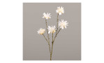Zinnie 68 cm aus Kunststoff mit einem braunen Stiel und weißen Blüten. Auf einem grauen Hintergrund.