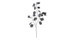 Lunaria-Zweig 68 cm aus Kunststoff mit schwarzen Stiel und Blätter,