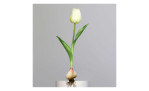 Tulpe mit Zwiebel 25 cm aus Kunststoff mit grünen Blätter und Stiel, weißer Blüte und einer Zwiebel am Ende. Auf einem grauen Hintergrund.