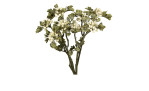 Beeren-Bund 17 cm aus Kunstsoff mit grünen Stiel und Blätter und weißen Beeren.