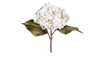 Hortensie 45 cm  aus Kunststoff mit grünen Stiel und Blätter und weißen Blüten.