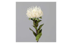 Protea 74 cm aus Kunststoff mit grünen Stiel und Blätter und weißer Blüte. Auf einem grauen Hintergrund.
