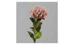 Protea 74 cm aus Kunststoff mit grünen Stiel und Blätter und rosa Blüte. Auf einem grauen Hintergrund.