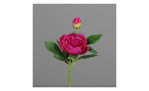 Päonie 36 cm aus Kunststoff mit einer pinken Blüte und grünen Stiel und Blätter. Auf einem grauen Hintergrund.