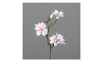 Magnolien-Pick 40 cm aus Kunststoff mit weiß / rosa Blüten und einem braunen Stiel. Auf einem grauen Hintergrund.