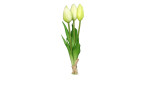 Tulpenbund 24 cm aus Kunststoff mit weiß / grünen Blüten und grünen Stiel und Blätter.