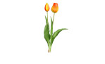 Tulpenbund 38 cm aus Kunststoff und Polyurethan mit orange / roten Blüten und grünen Stiel und Blätter.