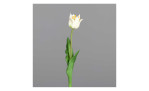 Tulpe 48 cm aus Kunststoff und Polyurethan mit einer weißen Blüte und grünen Stiel und Blätter. Auf einem grauen Hintergrund.