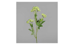 Astrantia 60 cm aus Kunststoff mit grünen Blüten, Stiel und Blätter. Auf einem grauen Hintergrund.