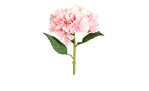 Hortensien 32 cm aus Kunststoff mit rosa Blüten und grünen Stiel und Blätter.