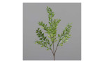 Ruscus-Zweig 50 cm aus Kunststoff in grün mit braunen Stiel. Auf einem grauen Hintergrund.