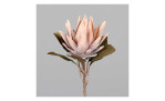 Protea 55 cm aus Kunststoff mit einer rosa Blüte, grüne Blätter und braunen Stiel. Auf einem grauen Hintergrund.