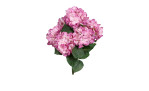 Hortensien-Busch 80 cm in pink