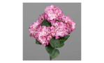 Hortensien-Busch 80 cm in pink, mit einem grauen Hintergrund
