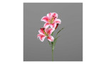 Lilie 78 cm in pink, mit einem grauen Hintergrund