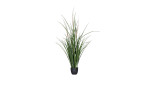 Gras 89 cm