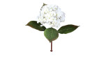 Hortensie 52 cm mit weißen Blüten und grünen Steil und Blätter aus Kunststoff.