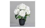 Die Hortensie 45 cm zeigt weiße Hortensien-Kunststoffblüten mit grünen Blättern in einem schwarzen Topf, auf grauem Hintergrund.