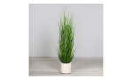 Gras 170 cm in einem weißen Kunststofftopf steht auf einem schlichten Boden mit hellgrauem Hintergrund.