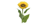 Sonnenblume 78 cm aus Kunststoff mit einer gelben Blüte und einem grünen Stiel und Blätter.