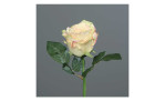 Rose 31 cm aus Kunststoff in creme mit grünen Stiel und Blätter. Auf einem grauen Hintergrund.