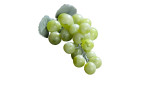 Weintraube 10 cm aus Kunstoff in grün mit zwei Blätter.