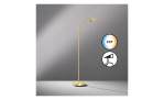 LED-Stehleuchte Tallri 135 cm von Fischer-Honsel in Gold, mit Touch- und Farbtemperatur-Icons auf grauem Hintergrund.