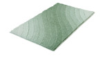 Badteppich Tender in der Farbe Schilf. Er hat einen Grünen Farbverlauf und eine Größe von 60 x 100 cm. 