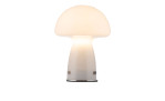 Die Paul Neuhaus Tischleuchte Fungo 22 cm ist eine moderne pilzförmige Leuchte mit einer leuchtenden Glasplatte auf weißem Hintergrund.