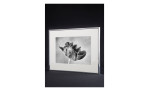 Bilderrahmen Accent 30 x 40 cm mit einem grauen Aluminiumrahmen und transparentem Glas. Auf einem schwarzen Hintergrund.