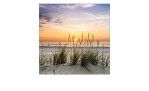 Glasbild Lonely Dune 50 x 50 cm, Strandlandschaft mit einem Sonnenuntergang
