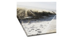 Das Pro-Art Leinwandbild Seeblick 90 x 120 cm zeigt eine Strandpromenade durch Dünen, perfekt als bunte Wanddekoration.
