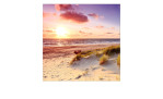 Leinwandbild Sea Harmony 30x30 cm von Pro-Art: Sandstrand, grasbewachsene Dünen, Sonnenuntergangswolken und Sonne auf dem Meer.