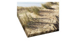Leinwandbild Ostsee 30 x 30 cm von Pro-Art zeigt einen sandigen Strandpfad als montierte 3D-Ausschnittform.
