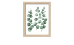 Das Pro-Art Rahmenbild Different Eucalyptus Branches I (24x19 cm) zeigt drei grüne Stämme auf MDF mit weißem Hintergrund.