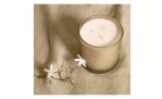 Duftkerze Soft Jasmin von Kave Home, mit blumiger und fruchtiger Duftnote