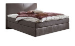 Boxspringbett vito Assetto in der Farbe Grau