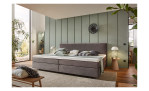 Modernes Schlafzimmer mit einem grauen Vito Familien-Boxspringbett „Asetto“, grünen Wänden, einer Uhr, Pflanzen und einem Holzboden.