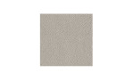 Ledermuster Silver Grey