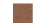Ledermuster Cognac