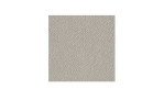 Ledermuster Silver Grey