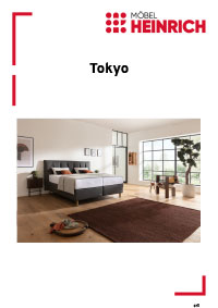 Dokumenten Cover für Typenplan