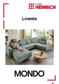 Dokumenten Cover für Typenplan