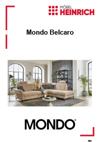 Dokumenten Cover für Typenplan